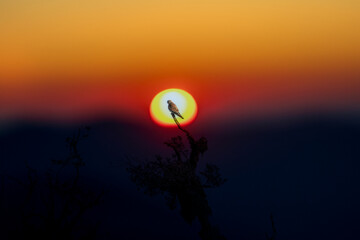 sunset in the mountains