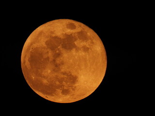 full moon in the night