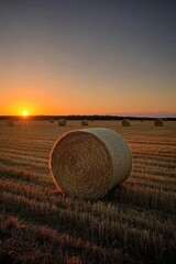arafed hay bales in a field at sunset with the sun setting