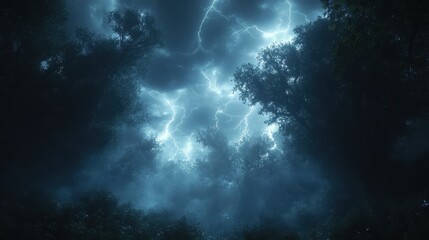 Stormy Woods Night Sky View