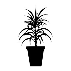 Spider plant silhouette potted black vector