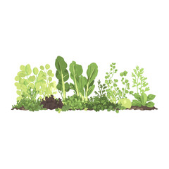 Fresh vegetable Borders illustration plants herbs vector