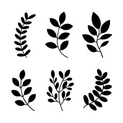 A black and white vector illustration of botanical leaves and herbs in silhouette style. The minimalistic design features five distinct plant stems arranged in a row on a white background.