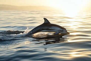 Naklejka premium Lovina Beach. Dolphin Watching Boat on Bali's Coast at Sunrise
