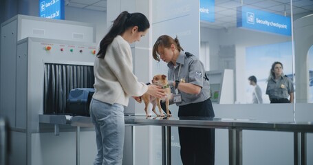 Naklejka premium Woman with Pet During Screening Process in Airport Terminal: Female TSA Officer Scans Dog Using Metal Detector, Places Puppy in Carrier. Animal Inspection at Security Checkpoint before Boarding Flight