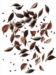 Suspended against a crisp white backdrop, floating spice seeds offer a striking visual for culinary or botanical designs that celebrate nature's diversity in food.