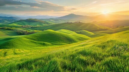 The picture of the green mountain filled with grass field and plant in the bright time of the day with bright light and warm from the sun that has been rising in morning or falling in evening. AIG51.