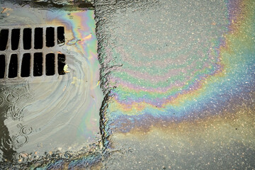 Colorful Oil Slicks Creating a Vivid Reflection on a Wet Pavement Near a Drain After Rainfall