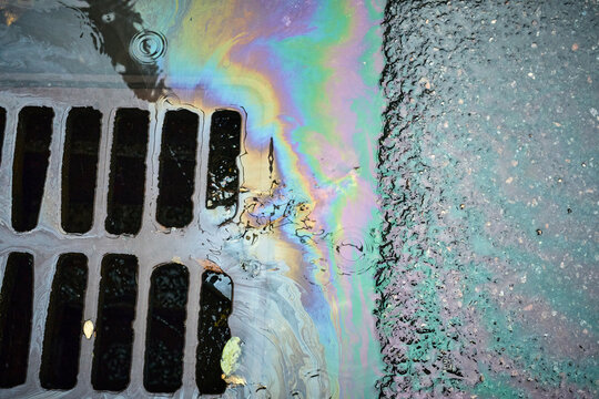 Colorful Oil Sheen Reflecting in Water Near a Storm Drain on a Rainy Day in an Urban Environment