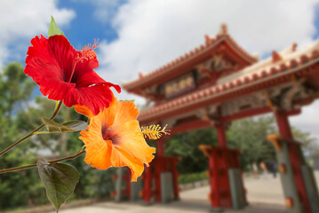 沖縄とハイビスカス