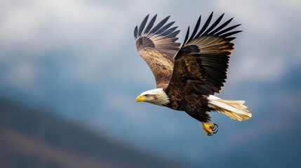 Obraz premium Majestic Bald Eagle in Flight with Wings Outstretched Against a Softly Blurred Background of Mountains and Sky in Natural Habitat