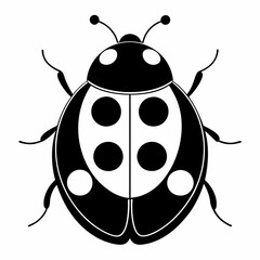ladybird vector illustration