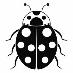 ladybird vector illustration