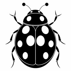 ladybird vector illustration