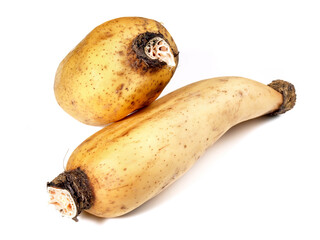 Fresh Lotus Roots on white Background