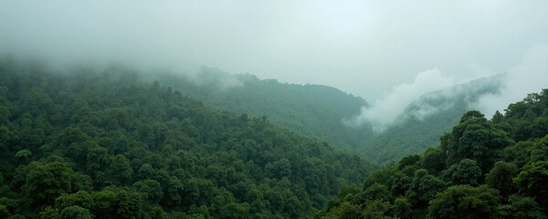 fog in the mountains