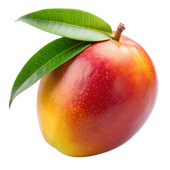 Fresh Ripe Mango Fruit with Leaves isolated on transparent background