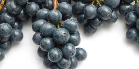 Luscious blue grapes, glistening wet, isolated on pure white, blue grapes, winery