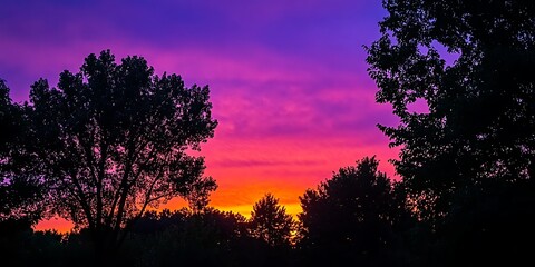 Vibrant sunset, silhouetted trees, colorful sky