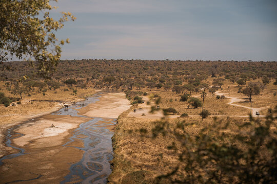 รูปภาพPachyderms – เลือกดูภาพถ่ายสต็อก เวกเตอร์ และวิดีโอ152,055 ...