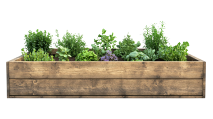 raised bed with growing vegetables and herbs in wooden pot on white background