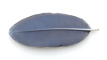 A single isolated grey feather laying on white background surface