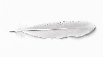 Obraz premium A single white feather resting on a plain white background