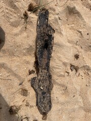 Log on the sand

