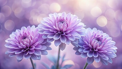 Soft Focus Purple Flowers, Three Delicate Blossoms, Macro Photography