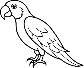 Fototapeta premium Hand-Drawn Parrot Vector Simple Tropical Bird Illustration