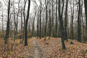 Exploring roads less ridden, little adventures around hometown