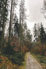 Exploring roads less ridden, little adventures around hometown