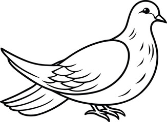 Obraz premium Peaceful dove line art symbolic bird illustration