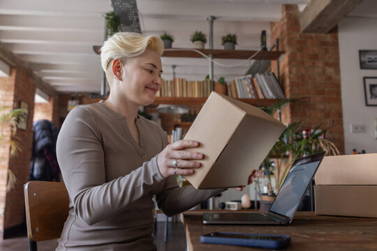 Happy female entrepreneur looking at order details from e-commerce site on a laptop computer