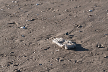 ENVIRONMENTAL POLLUTION - A lost woolen glove on the sea beach
