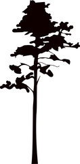 pine tree silhouette vector on white background