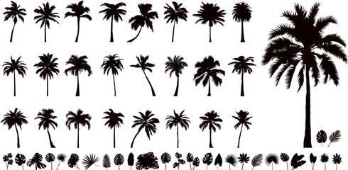 palm trees collection, set silhouette vector on white background