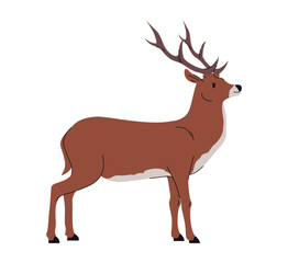 Deer character with branched bony antlers, isolated creature with fur on skin. Vector stag mammal with smooth furry coat and horns. Forest woods animals, wildlife and fauna. Nature and wilderness