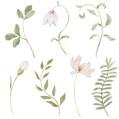 Floral set of delicate wild flowers