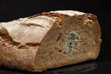 Side view of a moldy sourdough bread on a dark background. Decaying whole grain food