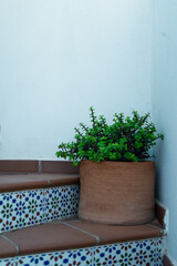 Garden in Small town with beach in Almeria Spain 7