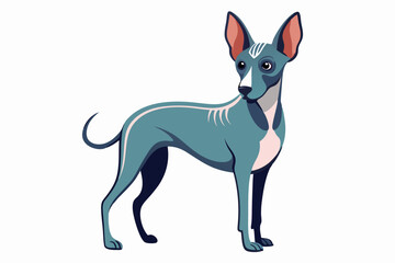 American Hairless Terrier standing pose illustration vector design

