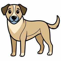 Fototapeta premium A cute, young Jack Russell terrier puppy with white and brown markings is isolated on a white background, captured in a charming studio portrait