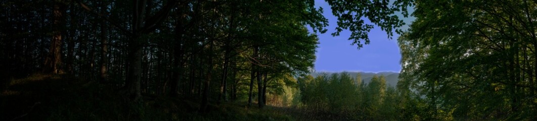Panoramic nature landscape, soft pastel colors, dream nature, sunset autumn background, peaceful amazing nature panorama