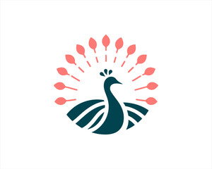 Peacock logo design icon symbol vector illustration. Peacock bird template.