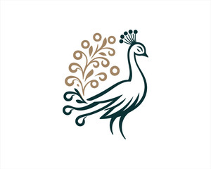 Peacock logo design icon symbol vector illustration. Peacock bird template.