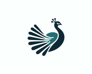 Peacock logo design icon symbol vector illustration. Peacock bird template.