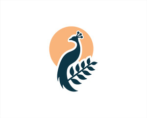 Peacock logo design icon symbol vector illustration. Peacock bird template.