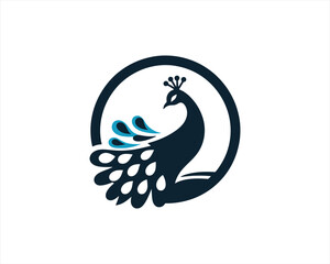 Peacock logo design icon symbol vector illustration. Peacock bird template.