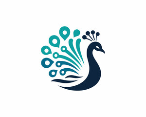 Peacock logo design icon symbol vector illustration. Peacock bird template.